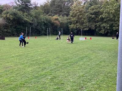 Die Besucher konnten einige Trainingseinheiten mit den Hunden beobachten.