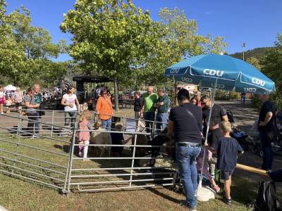 Auch das Fttern der Tiere mit Heu war bei den Kids beliebt.