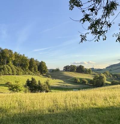 Die rund drei Kilometer lange Strecke fhrte durch die malerisch gefrbte Landschaft.