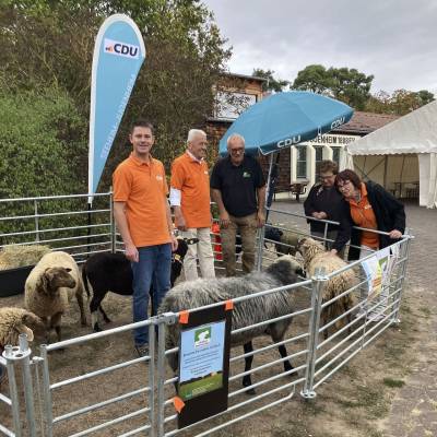 Am Weltkindertag lockten die Sch�fchen vom Schafhof Drachenh�le wieder viele Kinder zum Streicheln und F�ttern. Danke an Christoph Massoth f�r die Auswal der zahmen Schafe!