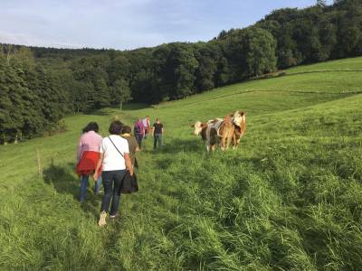 ber den Schollrain und eine Weide ging es dann talaufwrts zum alten Hochbehlter.