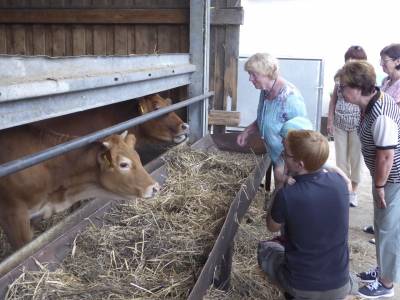 Rinder und Schweine werden gezchtet und in der eigenen Mezgerei selbst vermarktet.