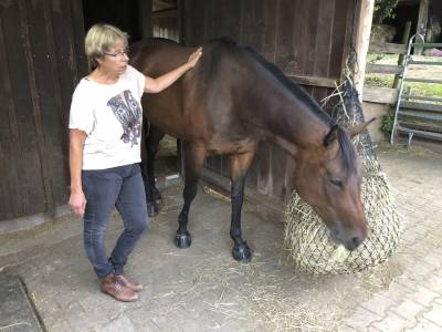 Britta Hoffner zeigte uns auch Leas Turnierpferd. Vielen Dank an Familie Hoffner fr den interessanten Abend!